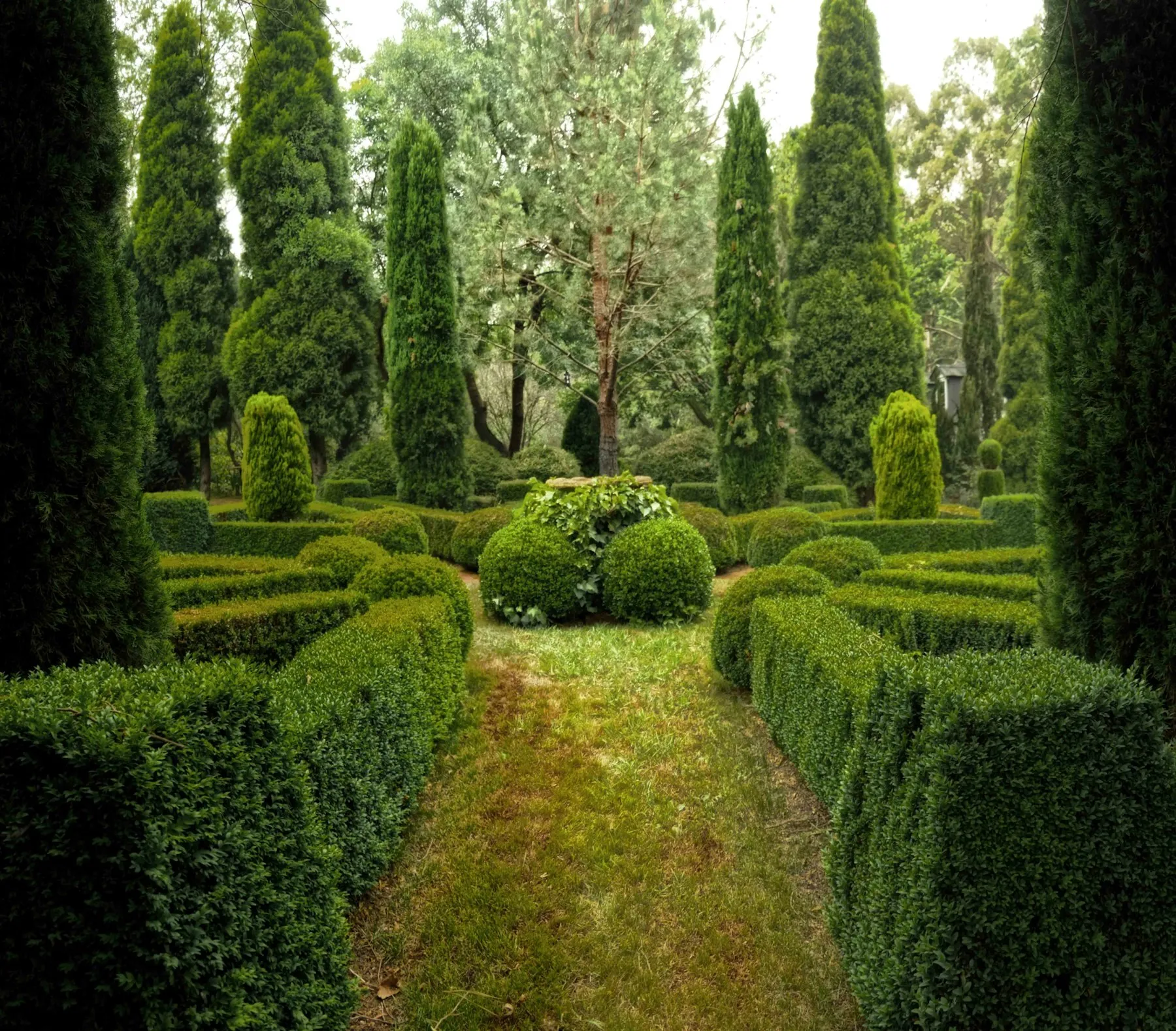 Entretien de jardins