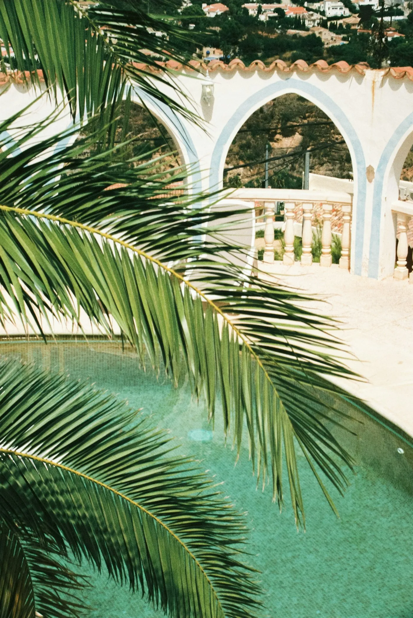 Jardin méditerranéen contemporain avec piscine et palmier, près de Montpellier